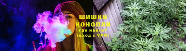 гидропоника Вязьма