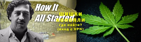 гидропоника Вязьма