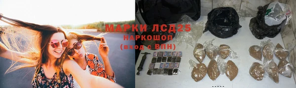 гидропоника Вязьма